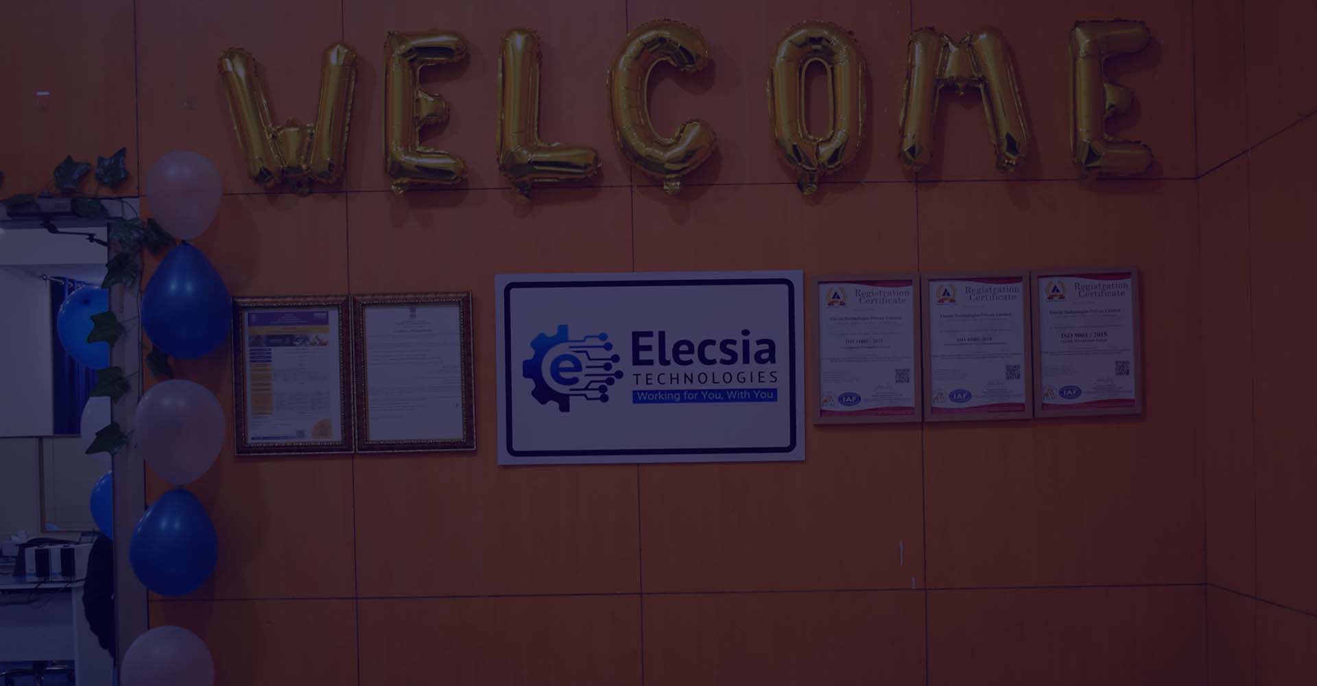 Elecsia